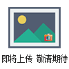 UV-A進口熒光紫外燈