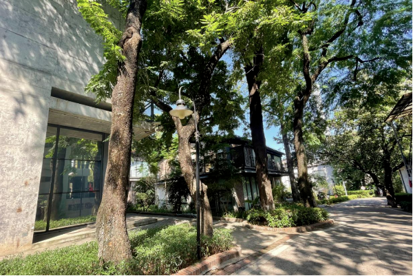 新仕誠公司順應綠色發(fā)展潮流，堅定不移推進園區(qū)生態(tài)文明建設