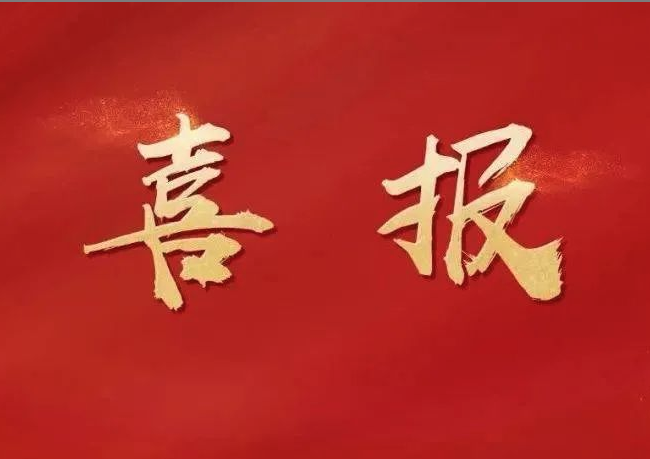 公司喜訊 | 新仕誠公司黨支部榮獲輕工集團(tuán)建制企業(yè)2022年度“星耀輕工”評(píng)星定級(jí)“五星黨支部”稱號(hào)